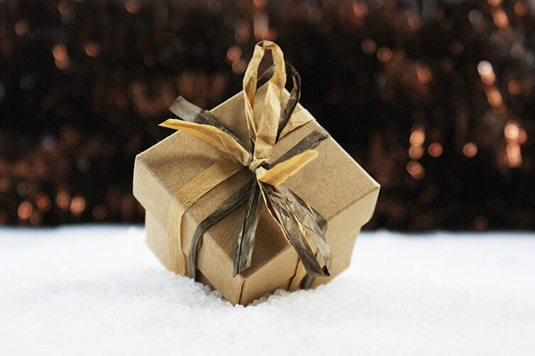 Shabby chic Christmas gift nestled in snow